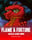 Flame & Fortune: Hold & Win