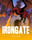 Irongate
